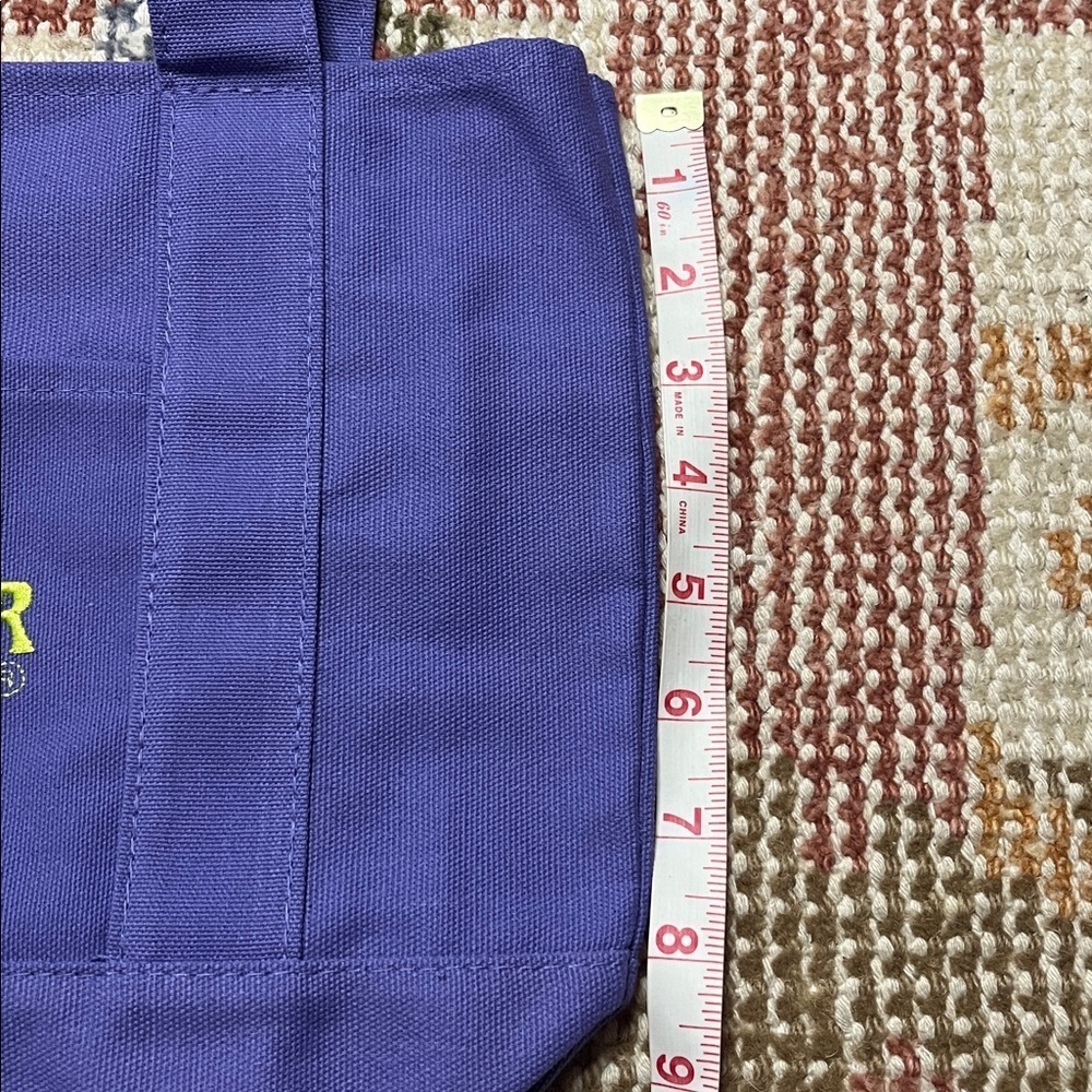NWT Trader Joe’s Limited Edition Trick or Treat Purple Mini Canvas Tote Bag - Picture 3 of 6